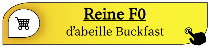 reine F0 abeilles buckfast